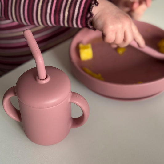 Matset 3 delar silikon dusty rose